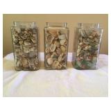 Shell & Seaglass Collection -3 Jars