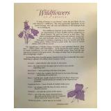 Stamps - FIrst Day Covers Wildflowers of America