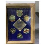 Dodgers framed pins