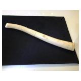 Ivory Walrus Oosik also known as a baculum