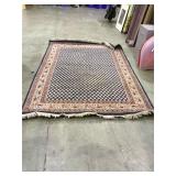 Fringed area rug,65 by 95 approx.