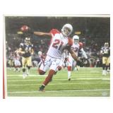 Arizona cardinals autographed picture