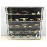 Shadowbox w/prehistoric animal collection 16x16