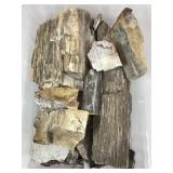 Quantity of Petrified Wood pcs, logs