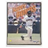 Barry bonds framed picture