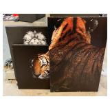 4 wildcat with black backgrounds prints on