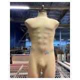 Half torso quality mannequin, approx 36in tall