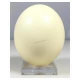 Genuine Ostrich Egg w/ Stand