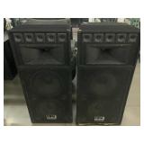 2 DFX Professional Audio Speakers Dual 15in Die