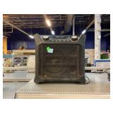 Ion Sport amp