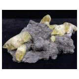 Golden Dogtooth Calcite Crystals on Matrix 649g