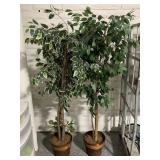 2 Silk Faux Trees - tallest approx. 6ft - in