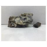 Petrified wood specimens