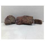 Petrified wood specimens