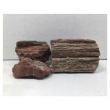 Petrified wood specimens