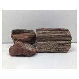 Petrified wood specimens