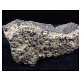 Fossil Shale From Colorado 6x3x2.5 1064.6g