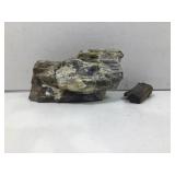 Petrified wood specimens