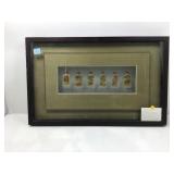 Framed shadow box, glass snuff bottles, inner