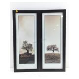 These are framed art prints by Alan Blaustein
