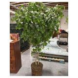 Silk Faux Tree in Wicker Basket - approx. 7ft