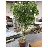 Silk Faux Tree in Wicker Basket - approx. 7ft