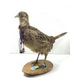 Beautiful Peacock, Pheasant Bird  Mount Stuffed