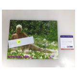 An autographed picture of Seka .......certified