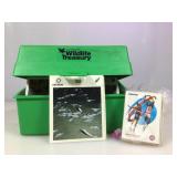 Illustrated Wildlife Treasury cards & some sports