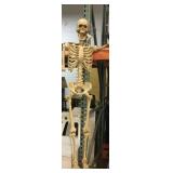 5ft tall human skeleton Halloween decor