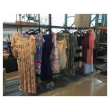 Womanï¿½s Dresses. Various Sizes.