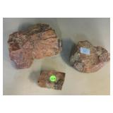 3 Pieces of Petrified Wood. Largest Approx 8 x 6