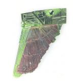 Star Trek Klingon Bird Of Prey Debris w/ COA