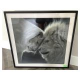 Framed print of Lion & Lioness, approx 36x36in