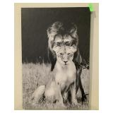 Print of Lion & Lioness, approx 24x36in