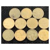 11 Sacagawea Dollars Incl. 2000 D, P, & 2001 D, P