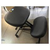 Rolling Artists Ergonomic Chair