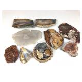 Petrified Wood Slabs, Slices & Asstd Rocks