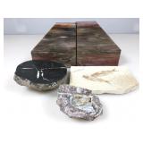 Polished Petrified Wood Bookends, Fossil Fish
