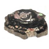 Polished Petrified Wood Slab 8.5x8.5x1 in.