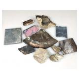 Asttd Stones & Petrified Wood Specimens