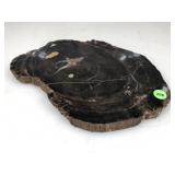 Petrified Wood Slab 11x8.5x1 in