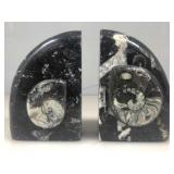 Ammonite Fossil Bookends 6in H