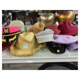 Variety of Womenï¿½s Fashion Hats