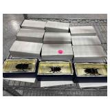 12 Real Beetles in Lucite Paperweights -