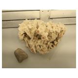 Large piece of coral with glass base - 7 in tall