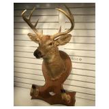 Mounted 4-point deer head taxidermy with hoof