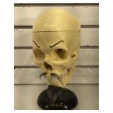 Plastic human skull model on stand - cranium