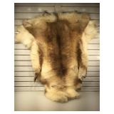 Antelope pelt, over 4 ft long