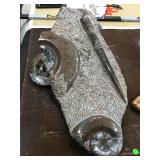 Orthoceras & Ammonite fossil display, needs